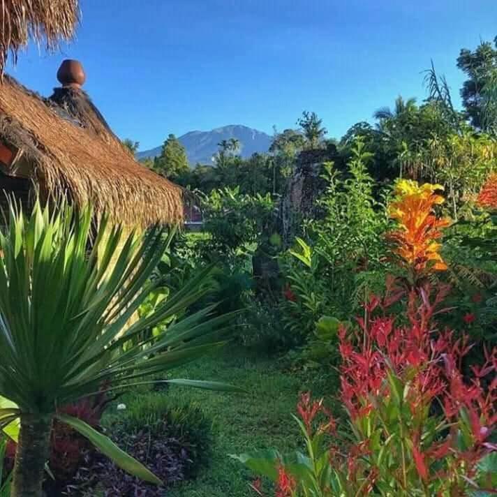 Satu Lingkung Hotell Tetebatu Rum bild