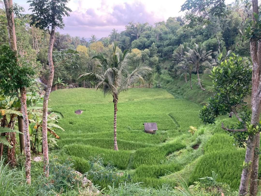 Satu Lingkung Hotell Tetebatu Exteriör bild